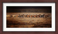 Framed Horse Run VII