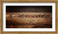 Framed Horse Run VII