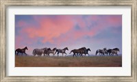Framed Horse Run VIII