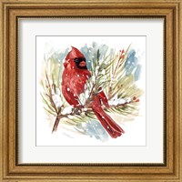 Framed Cardinal I