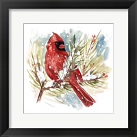 Framed Cardinal I