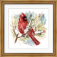Framed Cardinal I