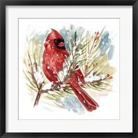 Framed Cardinal I