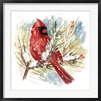 Framed Cardinal I