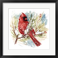 The Cardinal I Framed Print