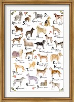 Framed Dog Alphabet