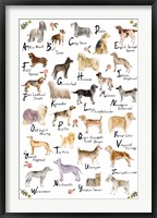 Framed Dog Alphabet