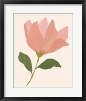 Magnolien II Framed Print