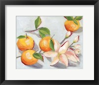 Framed Tangerine Blossoms I