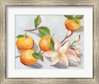 Framed Tangerine Blossoms I