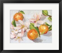 Framed Tangerine Blossoms II