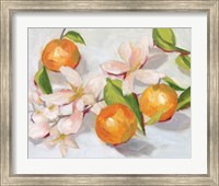 Framed Tangerine Blossoms II