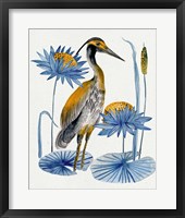 Heron Pond II Framed Print