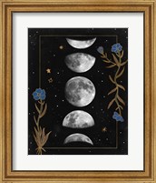 Framed 'Night Moon II' border=