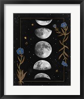 Framed 'Night Moon II' border=
