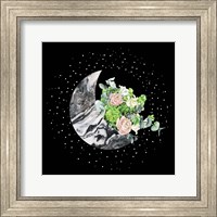 Framed Luna I