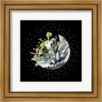 Framed Luna II