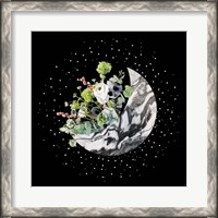 Framed Luna II