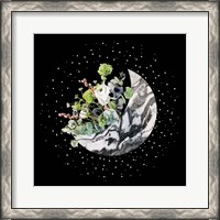 Framed Luna II