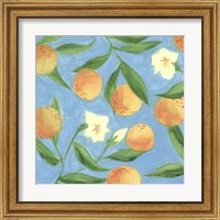 Framed 'Sweet Tangerine I' border=