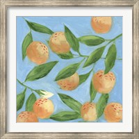 Framed Sweet Tangerine II