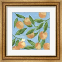 Framed Sweet Tangerine II