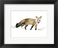 Framed Winter Fox I