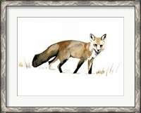Framed Winter Fox I
