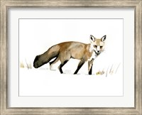 Framed Winter Fox I