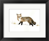 Framed Winter Fox II