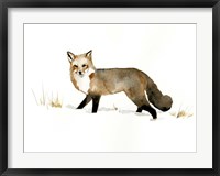 Framed Winter Fox II