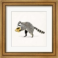 Framed Rascally Raccoon III