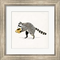 Framed Rascally Raccoon III