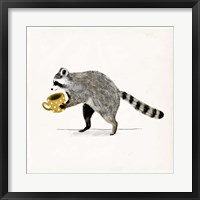 Framed Rascally Raccoon III