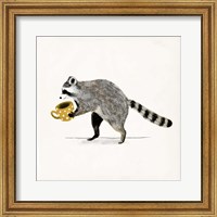 Framed Rascally Raccoon III