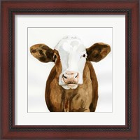 Framed Cow Gaze II