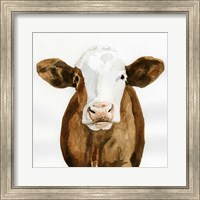 Framed Cow Gaze II
