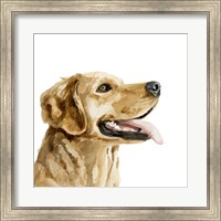 Framed Pet Profile II