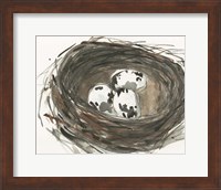 Framed Nesting Eggs I