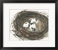 Framed Nesting Eggs I