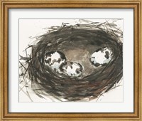 Framed Nesting Eggs II