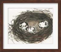 Framed Nesting Eggs II