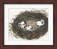 Framed Nesting Eggs II