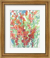 Framed 'Tropical Summer Blooms I' border=