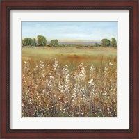 Framed Abundance of Wildflowers II