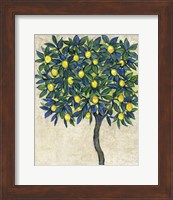 Framed Lemon Tree Composition I
