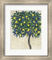 Framed 'Lemon Tree Composition I' border=