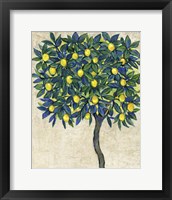 Framed 'Lemon Tree Composition I' border=