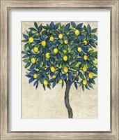 Framed Lemon Tree Composition I