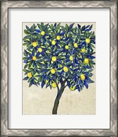 Framed 'Lemon Tree Composition II' border=
